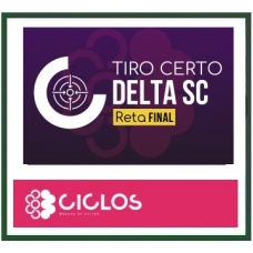 PC SC  DELEGADO - TIRO CERTO - RETA FINAL DELTA SC ( CICLOS 2024)